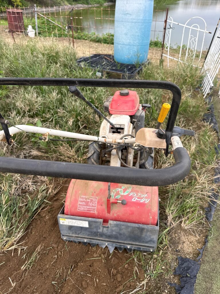 赤い耕運機を使って家庭菜園の畑を耕す様子
